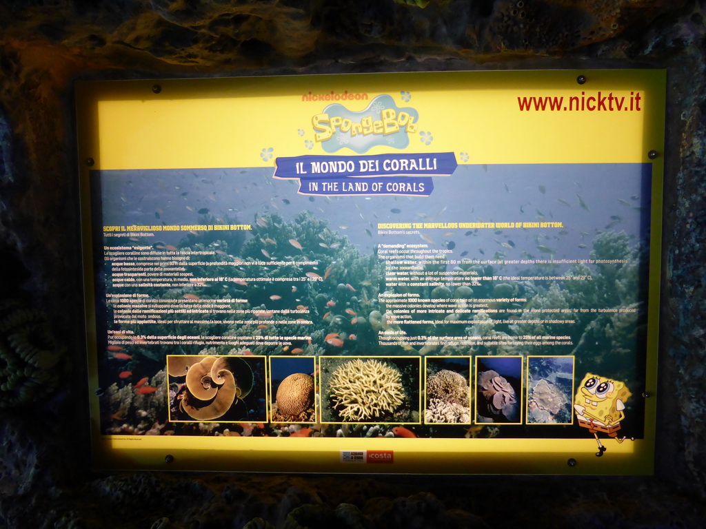 Explanation on coral at the Aquarium of Genoa