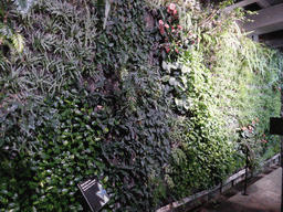 Plant wall at the Aquarium of Genoa