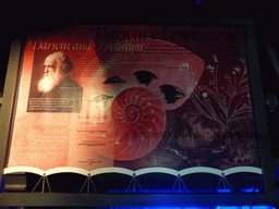 Explanation on Charles Darwin at the Aquarium of Genoa