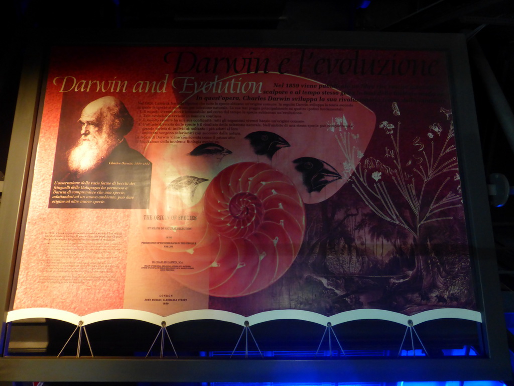 Explanation on Charles Darwin at the Aquarium of Genoa