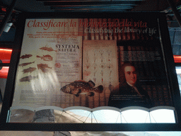 Explanation on Carolus Linnaeus at the Aquarium of Genoa