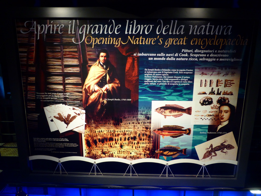 Explanation on Joseph Banks and Sydney Parkinson at the Aquarium of Genoa