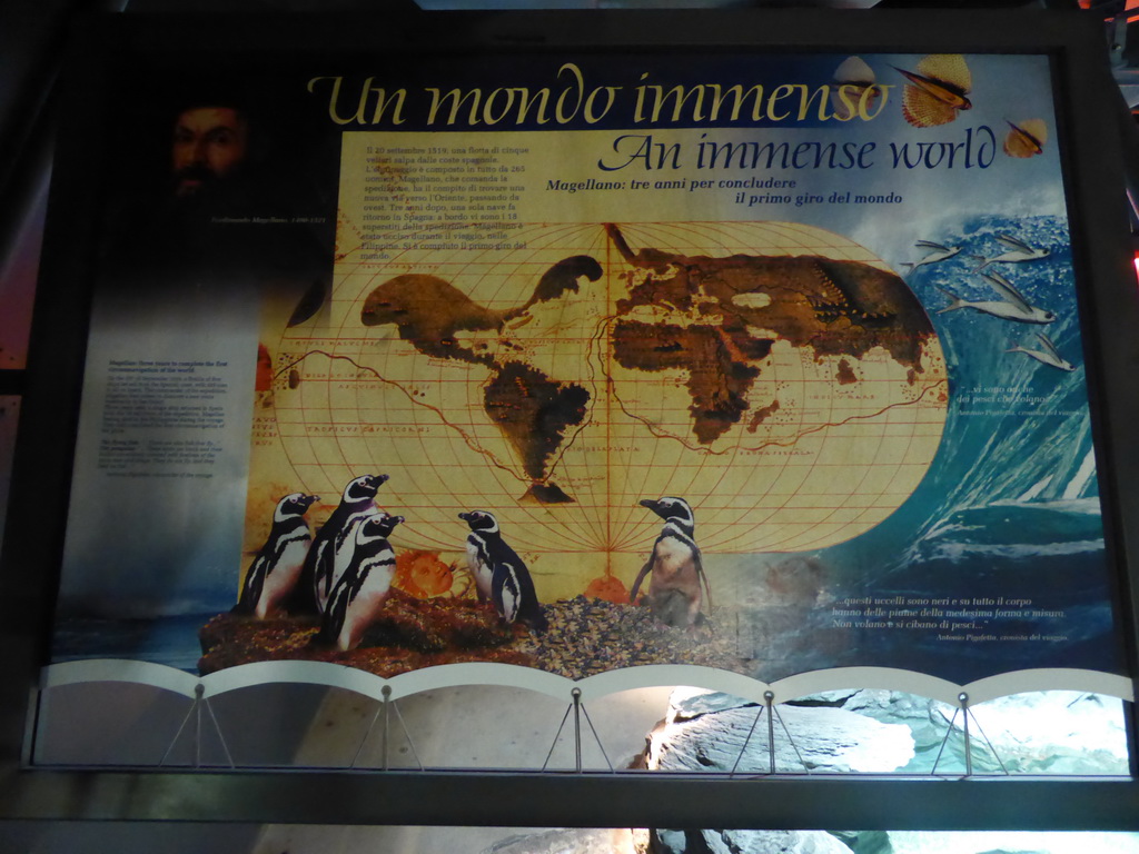 Explanation on Ferdinand Magellan at the Aquarium of Genoa