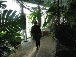 Miaomiao in the Hummingbird`s Forest at the Aquarium of Genoa