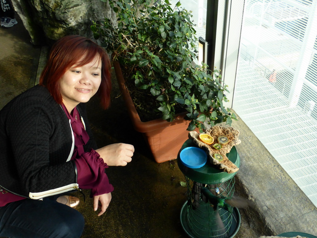 Miaomiao with a Hummingbird in the Hummingbird`s Forest at the Aquarium of Genoa