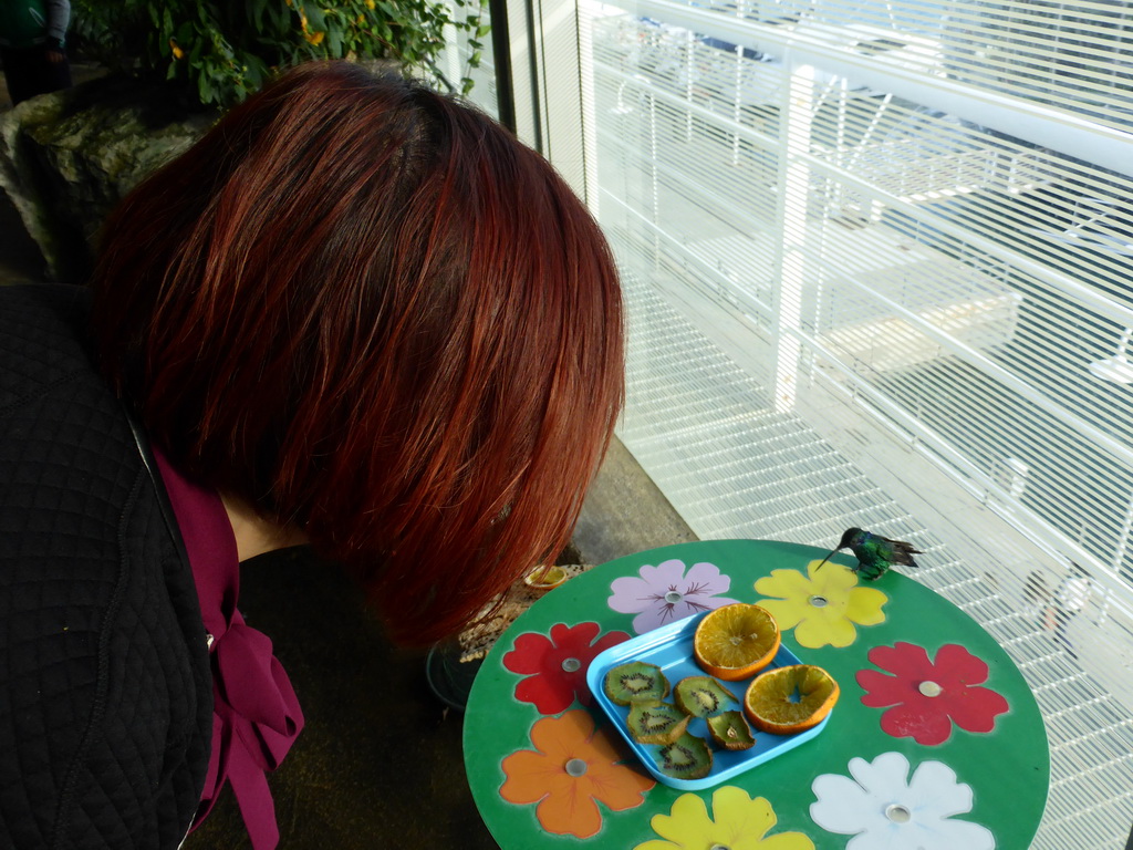 Miaomiao with a Hummingbird in the Hummingbird`s Forest at the Aquarium of Genoa