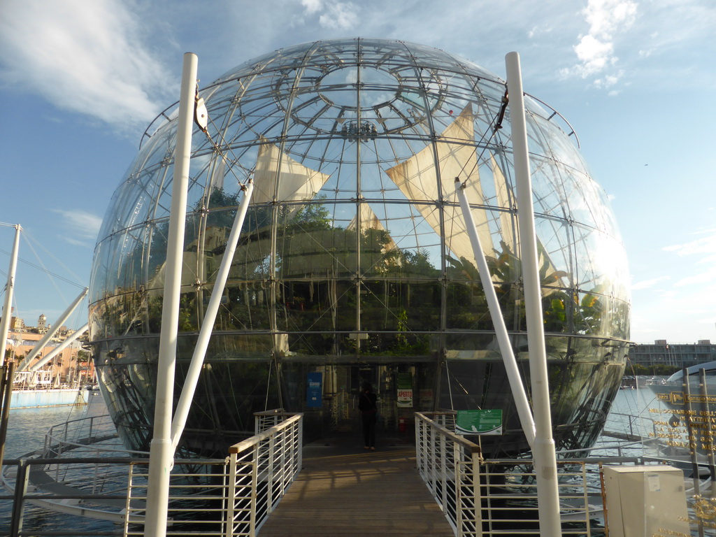 Miaomiao in front of the Biosphere of Genoa in the Old Harbour