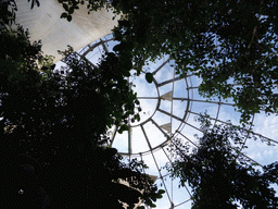 Ceiling of the Biosphere of Genoa