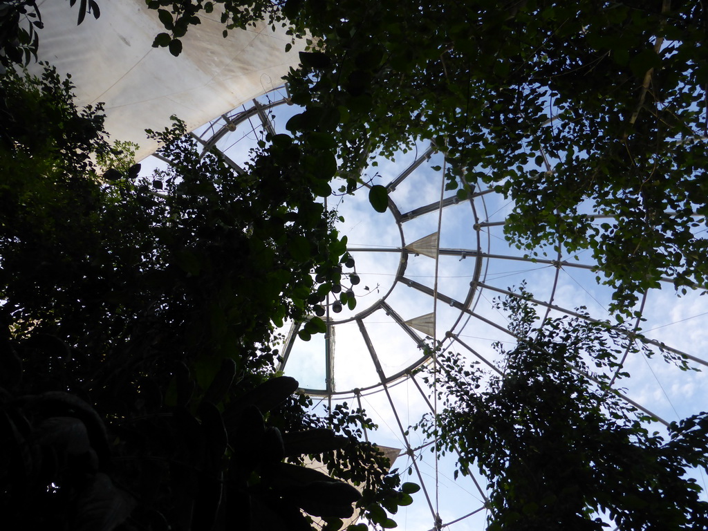 Ceiling of the Biosphere of Genoa