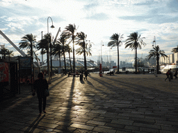 Miaomiao at the Old Harbour with the Bigo, the Piazza delle Feste square and the Biosphere of Genoa