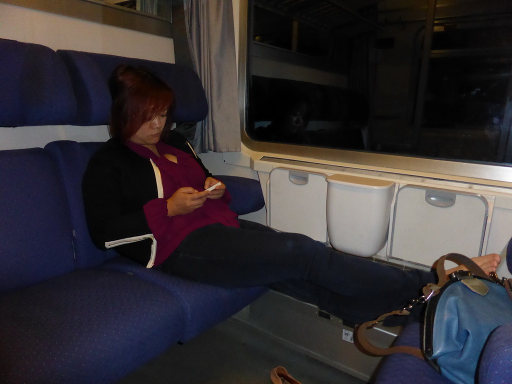 Miaomiao in the train to Levanto