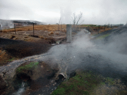 Small geyser alongside the Biskupstungnabraut road