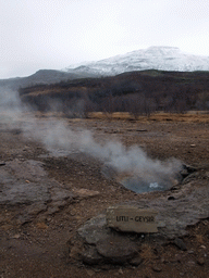 The Litli Geysir geyser at the Geysir geothermal area