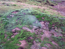 Mud pot at the Geysir geothermal area