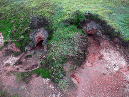 Mud pots at the Geysir geothermal area