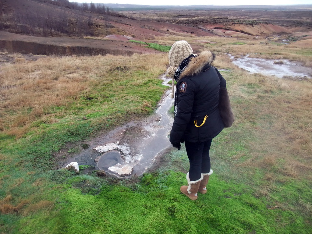 Mud pot at the Geysir geothermal area