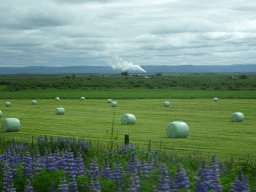 Grassland and the Efri-Reykir Geothermal Plant, viewed from the rental car on the Laugarvatnsvegur road