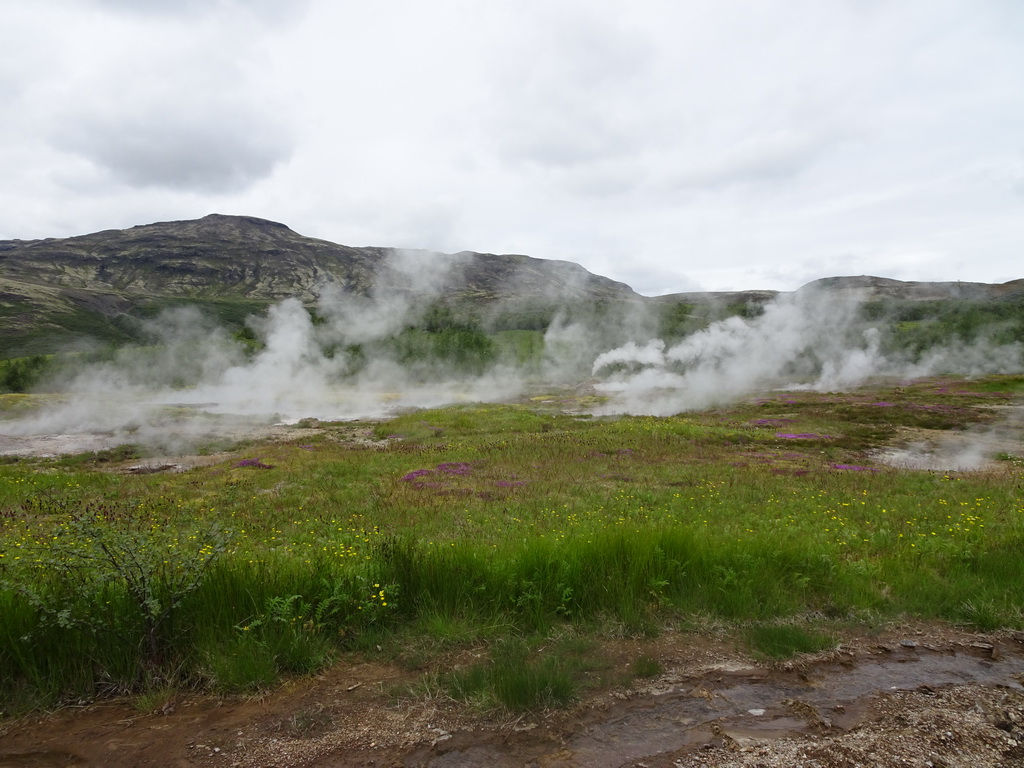 Several small geysers at the Geysir geothermal area