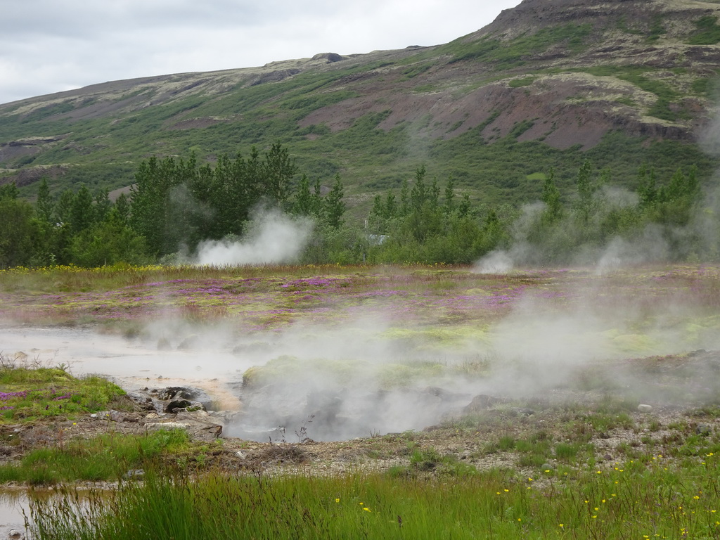 Several small geysers at the Geysir geothermal area