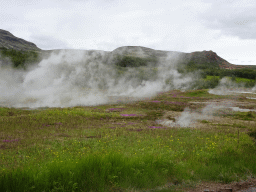 Several small geysers at the Geysir geothermal area