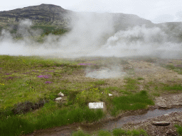 Small geyser at the Geysir geothermal area