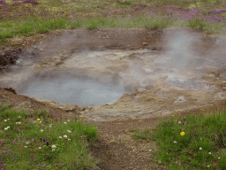 The Litli Strokkur geyser at the Geysir geothermal area