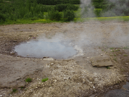 The Litli Geysir geyser at the Geysir geothermal area