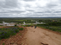 The Geysir geothermal area with the Konungshver, Geysir and Strokkur geysers and other geysers, viewed from the Útsýnisskífa viewpoint