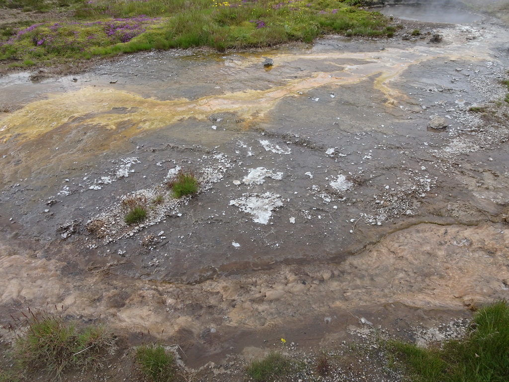 Small geyser and a hot water stream at the Geysir geothermal area