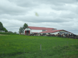 The Geysir Hestar farm with horses, viewed from the rental car on the Biskupstungnabraut road to Gullfoss