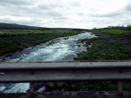 River and flowers, viewed from the rental car on the Biskupstungnabraut road from Gullfoss