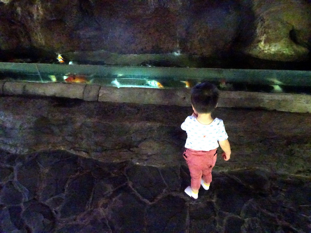 Max with fish at the Freshwater Aquarium of the Bali Safari & Marine Park