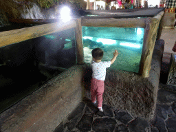 Max with fish at the Freshwater Aquarium of the Bali Safari & Marine Park