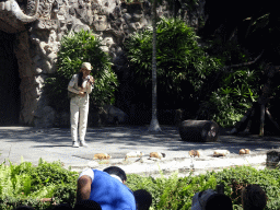 Zookeeper and Guinea Pigs at the Hanuman Stage at the Bali Safari & Marine Park, during the Animal Show