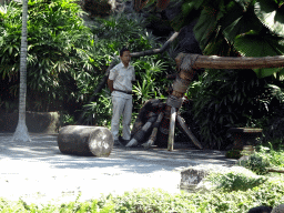 Zookeeper and a Binturong at the Hanuman Stage at the Bali Safari & Marine Park, during the Animal Show