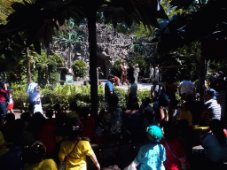 Zookeepers, Orangutans, a Toucan and a Binturong at the Hanuman Stage at the Bali Safari & Marine Park, during the Animal Show