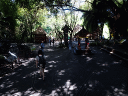 Miaomiao at the Banyan Court at the Bali Safari & Marine Park