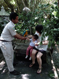Miaomiao, Max and a zookeeper with a Blue-and-yellow Macaw and a Yellow-crested Cockatoo at the Banyan Court at the Bali Safari & Marine Park