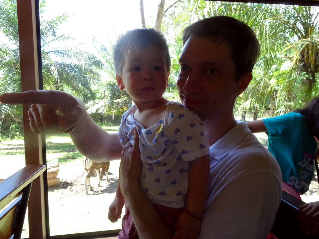 Tim and Max in the safari bus at the Bali Safari & Marine Park, with a view on Javan Deers