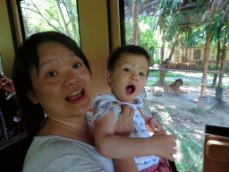 Miaomiao and Max in the safari bus at the Bali Safari & Marine Park, with a view on Tigers