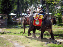 Sumatran Elephant being ridden, viewed from the safari bus at the Bali Safari & Marine Park