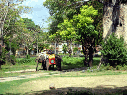 Sumatran Elephant being ridden, viewed from the safari bus at the Bali Safari & Marine Park