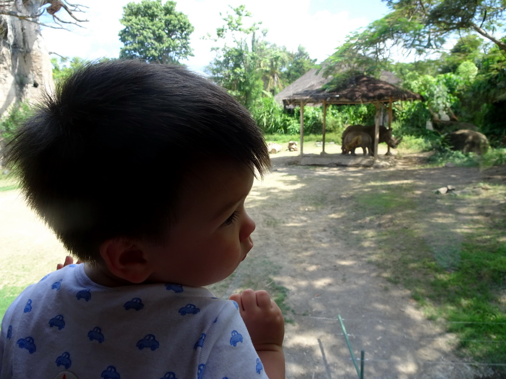 Max in the safari bus at the Bali Safari & Marine Park, with a view on Square-lipped Rhinoceroses