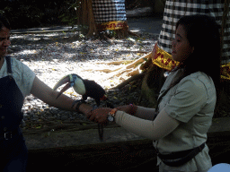 Zookeeper with a Toucan at the Banyan Court at the Bali Safari & Marine Park