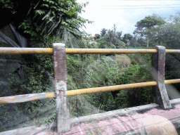 Bridge over the jungle at the Jalan A. A. Gede Rai street, viewed from the taxi to Ubud