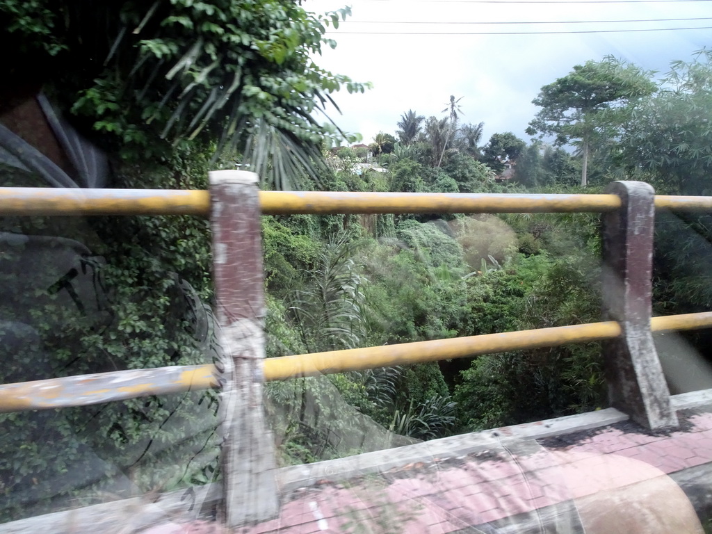 Bridge over the jungle at the Jalan A. A. Gede Rai street, viewed from the taxi to Ubud