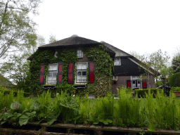 House with climbing plants at the Binnenpad canal, viewed from our tour boat