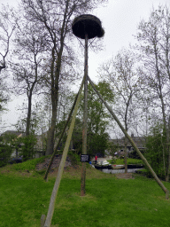 Stork`s nest at the courtyard of the `t Olde Maat Uus museum