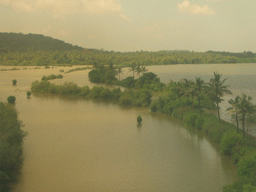 Swamps near the village of Cortalim, viewed from the Konkan Express train from Mumbai on a railway bridge over the Zuari River