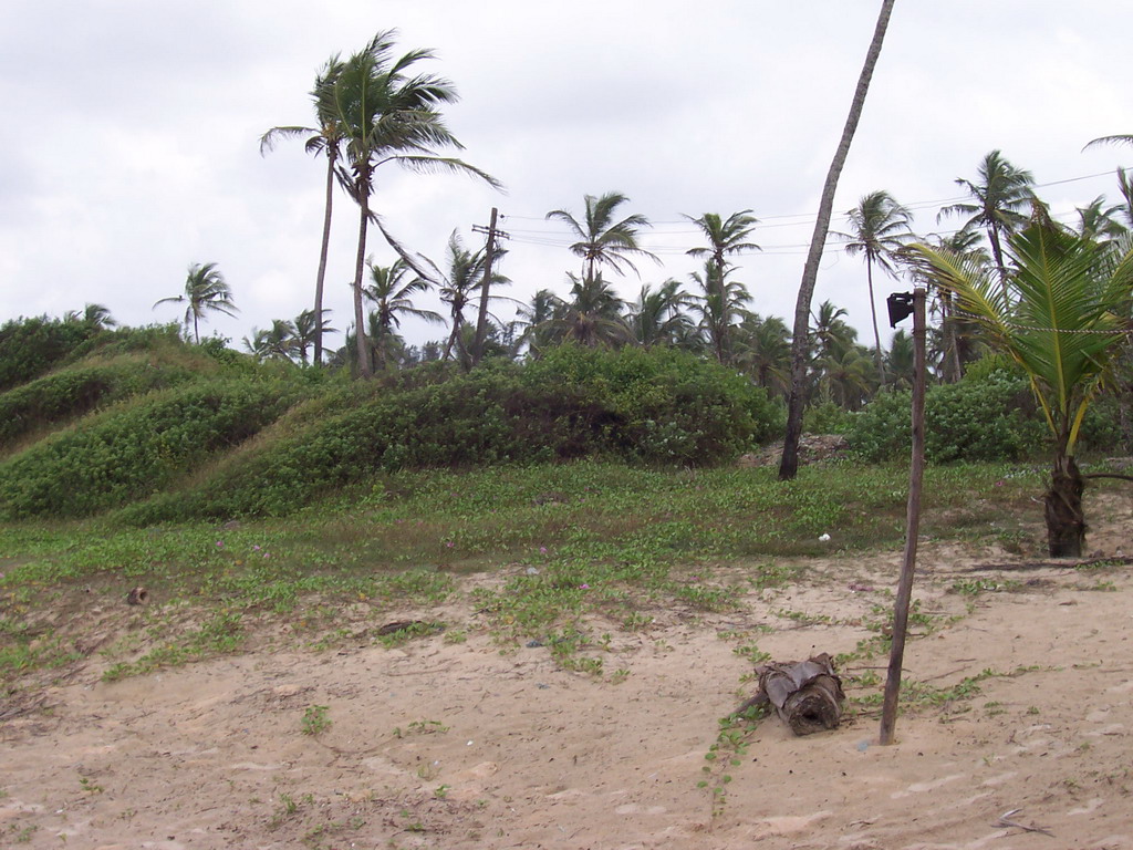 Hills and trees at Colva Beach